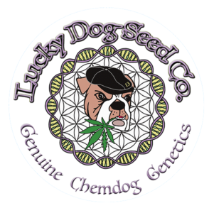 Lucky Dog Seed Co logo