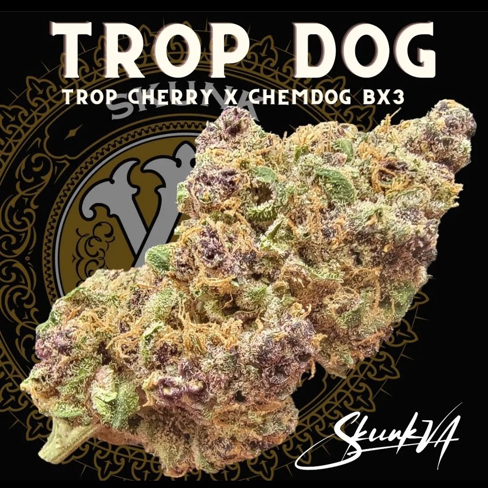 Trop Dog Trop Dog cannabis bud with Lucky Dog Seed Co artwork