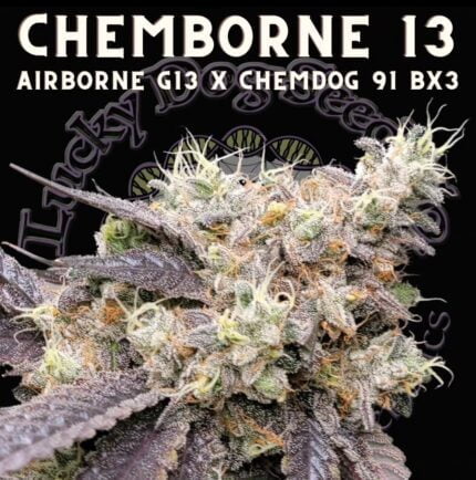 Chemborne 13 flower with Lucky Dog Seed Co artwork