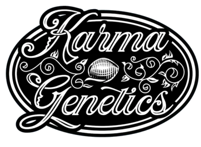 Karma Genetics Seeds
