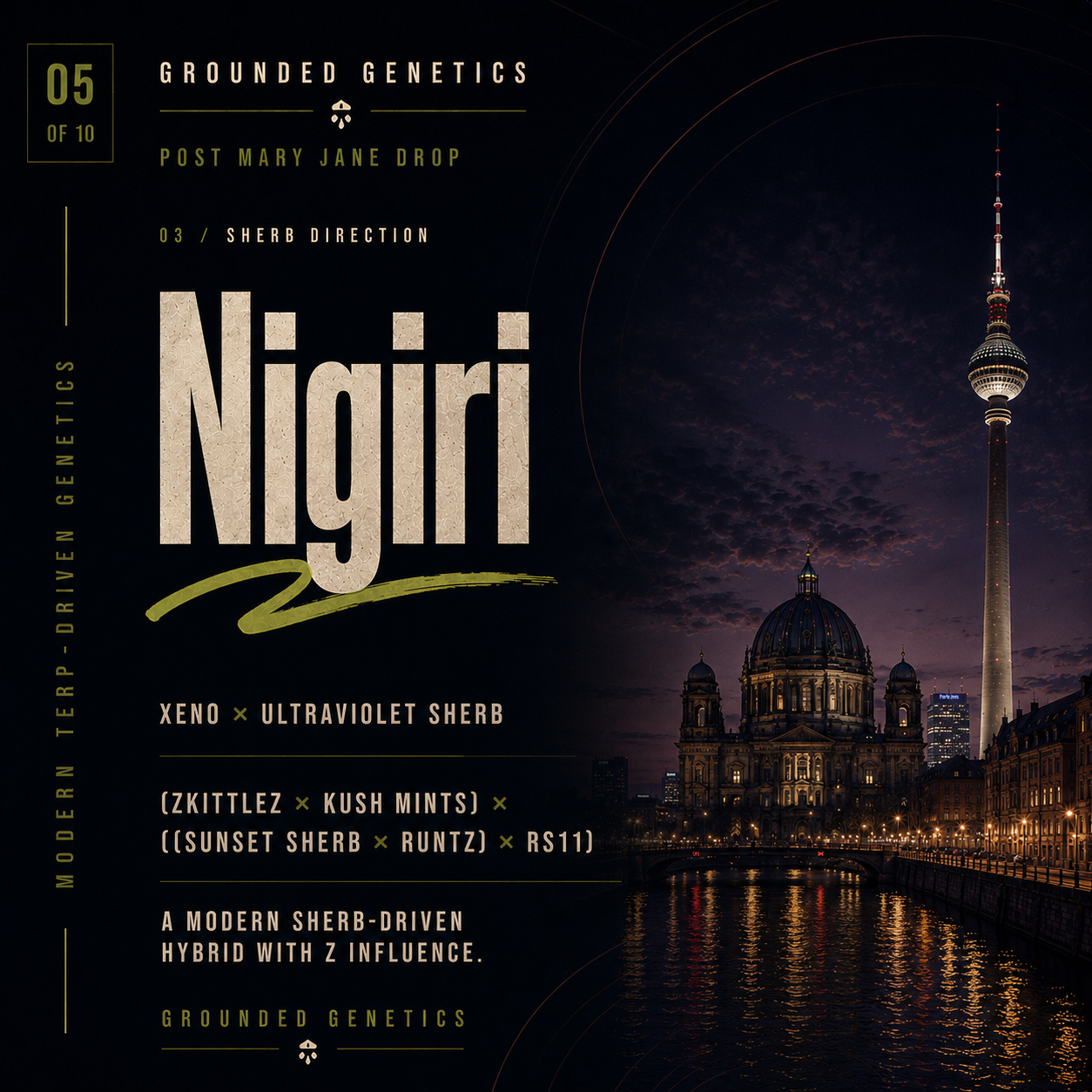 Nigiri by Grounded Genetics Nigiri — Grounded Genetics - Image 1