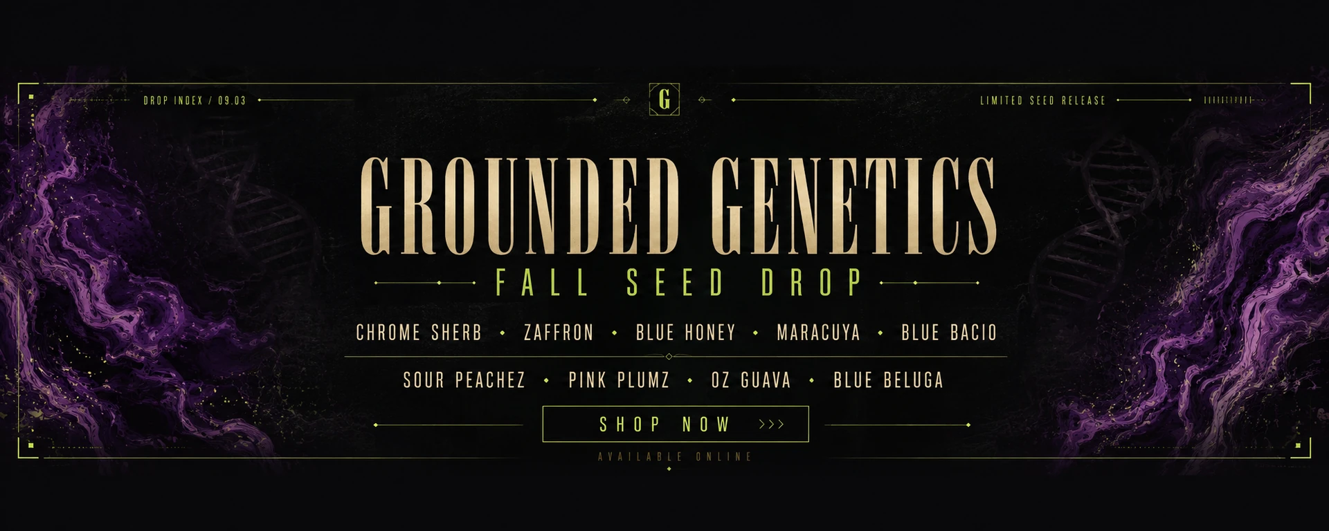 Grounded Genetics Fall Seed Drop